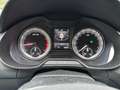 Skoda Octavia Combi 1.5 TSI Greentech Business Edition Wit - thumbnail 18