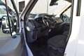 Ford Transit 2.0 EcoBlue 350 L3H2 Trend Rollstuhlgerech Blanc - thumbnail 12