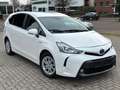 Toyota Prius+ Automatik*Klima*Kamera*Weiß*7-Sitzer* Alb - thumbnail 1