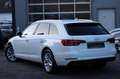 Audi A4 2.0 TDI Avant sport/PANO/VIRTUAL/MMI+/360°/ Blanc - thumbnail 6