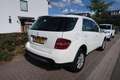 Mercedes-Benz ML 350 M-klasse v6 SCHUIFDAK|DEALER ONDERHOUDEN|NAVIGATIE Blanco - thumbnail 6