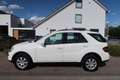 Mercedes-Benz ML 350 M-klasse v6 SCHUIFDAK|DEALER ONDERHOUDEN|NAVIGATIE Blanco - thumbnail 2