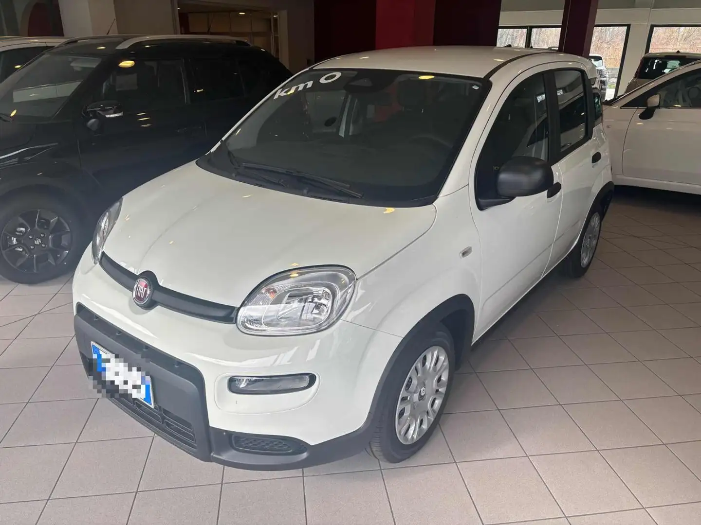 Fiat Panda 1.0 FireFly S&S Hybrid Bianco - 1