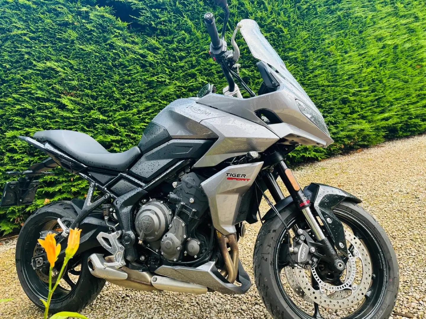 Triumph Tiger Sport 660cc 81cv état neuf , 1er proprio Šedá - 1