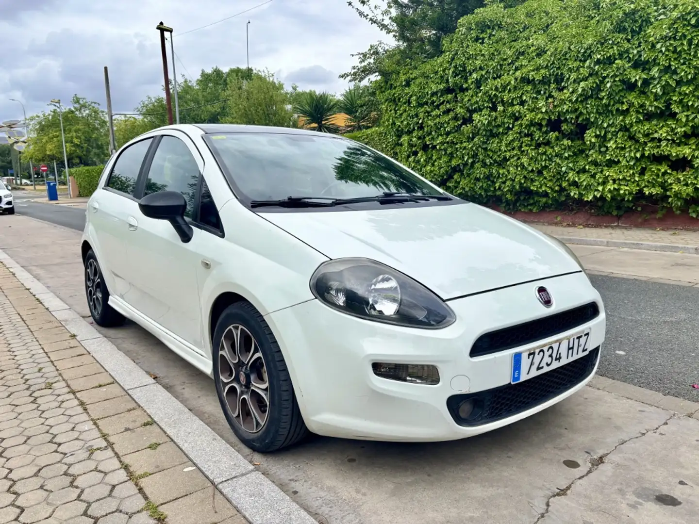 Fiat Punto 1.3Mjt Easy - 1