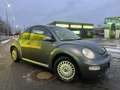 Volkswagen Beetle - thumbnail 3