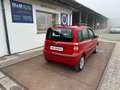 Fiat Panda 1.2 Dynamic CLIMA"""""" Rot - thumbnail 5