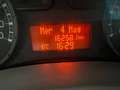 Fiat Panda 1.2 Dynamic CLIMA"""""" Rot - thumbnail 11