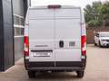 Fiat Ducato L3 Kastenwagen 35 L3H2 Allwetter Navi Klima (NW152 Bílá - thumbnail 11