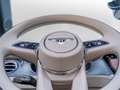 Bentley Speed MY26 | Bentley Nürnberg Bronze - thumbnail 19