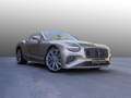 Bentley Speed MY26 | Bentley Nürnberg Bronce - thumbnail 30