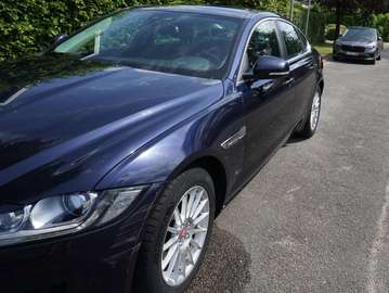 XF 2.0 D Business Edition Prestige