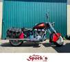 Indian Chief Roşu - thumbnail 2