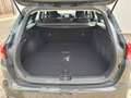 Kia Ceed / cee'd Ceed Sportswagon 1.5 T-GDI ISG DCT7 Spirit Grau - thumbnail 11