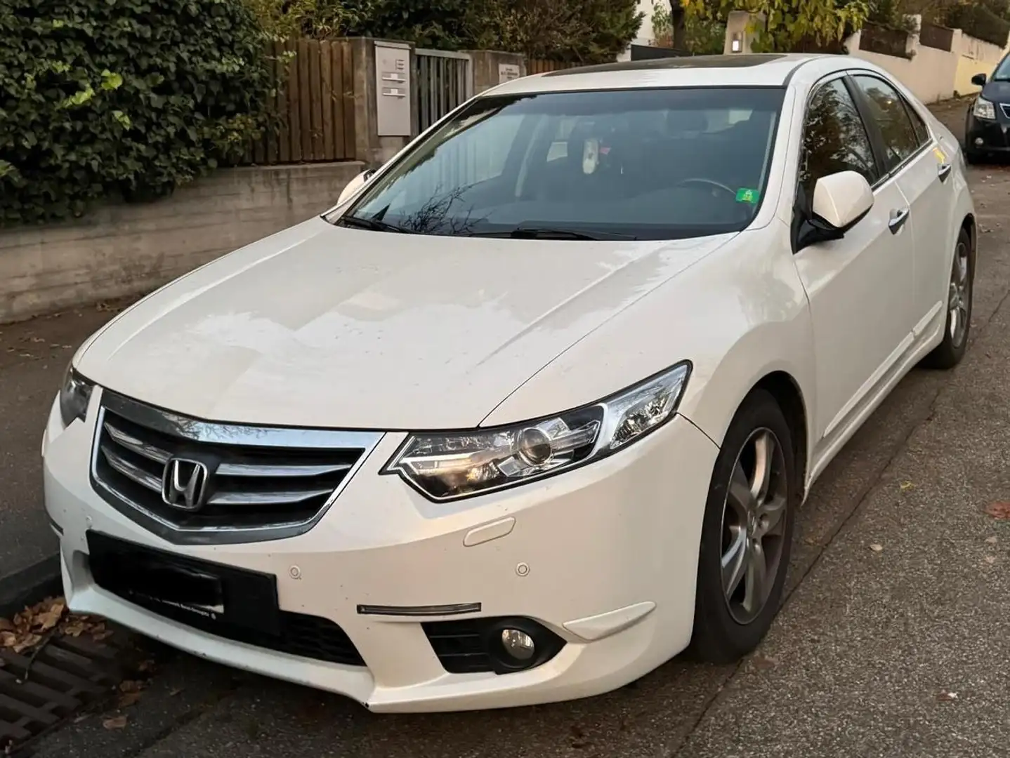 Honda Accord Executive Automatik 2.4 Weiß - 1