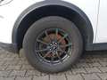 Land Rover Discovery Sport 2.0 D150 FWD Navi Pro 360°Kamera Blanco - thumbnail 16