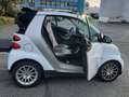 smart forTwo Smart Cabrio 1.0 71ch mhd Passion Blanc - thumbnail 1