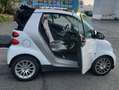 smart forTwo Smart Cabrio 1.0 71ch mhd Passion Blanc - thumbnail 6