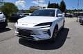 BYD Seal U DM-i PHEV 18,3kWh Boost *Vorführwagen* Blanc - thumbnail 1