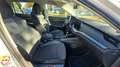Skoda Octavia Octavia 1.0 TSI Wagon Executive OK NEOPATENTATI Blanc - thumbnail 11