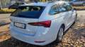 Skoda Octavia Octavia 1.0 TSI Wagon Executive OK NEOPATENTATI Blanc - thumbnail 6