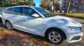 Skoda Octavia Octavia 1.0 TSI Wagon Executive OK NEOPATENTATI Blanc - thumbnail 8