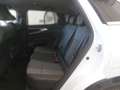 Renault Austral Techno Mild Hybrid 150 Automatik (MY26) Weiß - thumbnail 10
