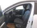 Renault Austral Techno Mild Hybrid 150 Automatik (MY26) Weiß - thumbnail 5