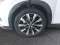 Renault Austral Techno Mild Hybrid 150 Automatik (MY26) Weiß - thumbnail 13