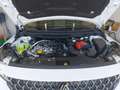 Renault Austral Techno Mild Hybrid 150 Automatik (MY26) Weiß - thumbnail 19