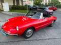Alfa Romeo Spider „Rundheck“ / Osso di seppia) Junior 1300 Rot - thumbnail 11