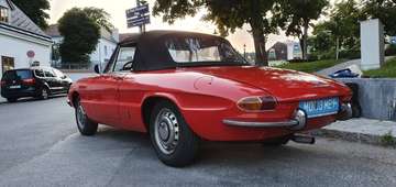 „Rundheck“ / Osso di seppia) Junior 1300