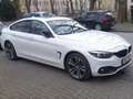 BMW 420 420 d xDrive Sport Line Bianco - thumbnail 1