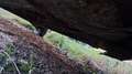 Talbot Simca 1100 pick up simca 1100 Blanc - thumbnail 6