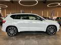 CUPRA Ateca Basis 4Drive*LED*FullLink*Kamera*Klima*DAB Weiß - thumbnail 16
