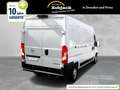 Opel Movano Cargo Edition L3H2 3,5t verstärkt 2.2D Blanc - thumbnail 2