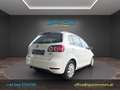 Volkswagen Golf Plus Rabbit 2012 BMT 1,6 TDI DPF Weiß - thumbnail 7
