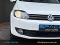 Volkswagen Golf Plus Rabbit 2012 BMT 1,6 TDI DPF Weiß - thumbnail 4