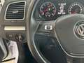 Volkswagen Sharan Comfortline 7-Sitzer Bi-Xenon Standheiz. Weiß - thumbnail 14