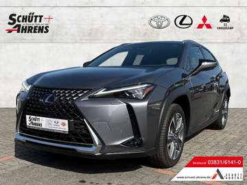 Luxury HUD NAV MatrixLED Leder ACC ASSI