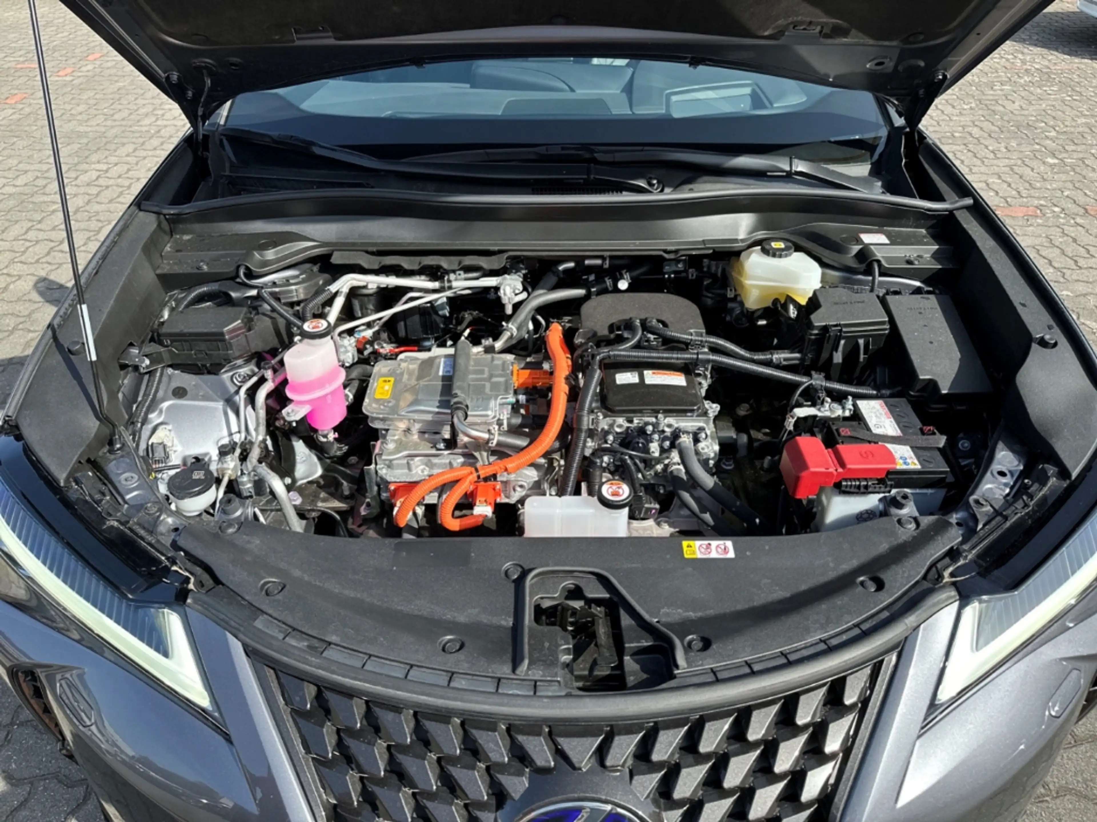 Lexus UX 300e Luxury HUD NAV MatrixLED Leder ACC ASSI — photo 7