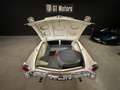 Studebaker Sonstige VOITURE AMERICAINE Weiß - thumbnail 20