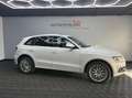 Audi Q5 3.0 TDI V6 Quattro S-Tronic7 258 ch – Finition S-Line Weiß - thumbnail 2