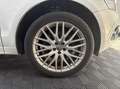Audi Q5 3.0 TDI V6 Quattro S-Tronic7 258 ch – Finition S-Line Weiß - thumbnail 12