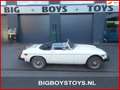 MG B type 1.8 Roadster Bianco - thumbnail 1