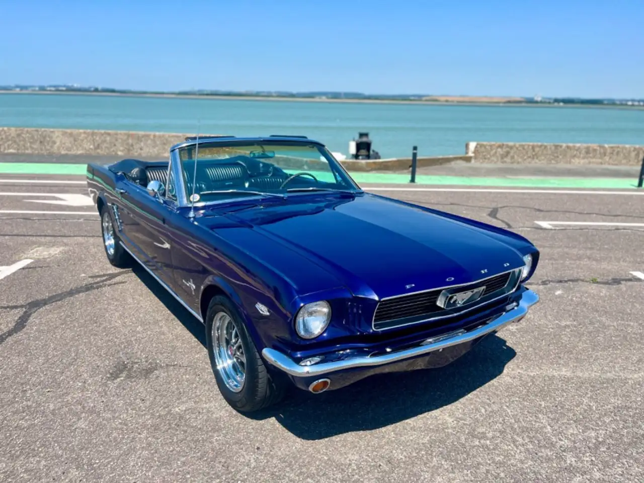 Ford Mustang Pony Luxury, foto 2