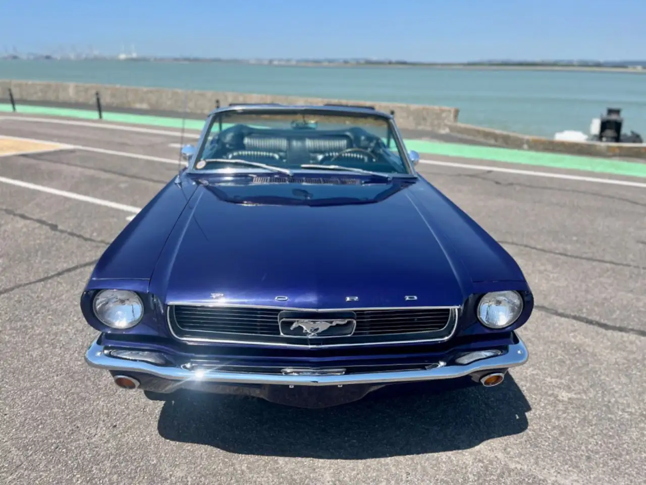 Ford Mustang Pony Luxury, foto 4