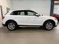 Audi Q5 40 TDI QUATTRO*SPORT*LED*AHK*PDC*SHZ*TOP* Weiß - thumbnail 3