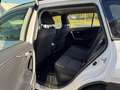 Toyota RAV 4 2.5 vvt-ie h Active 2wd e-cvt Bianco - thumbnail 13