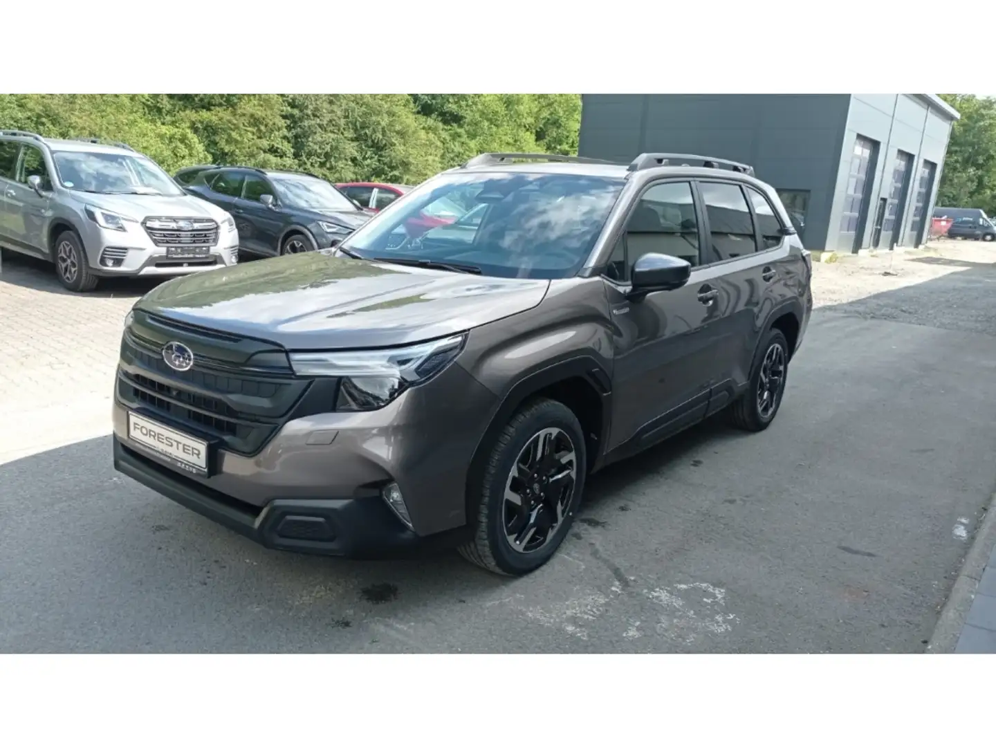 Subaru Forester 2.0 ie AWD Exclusive PANORAMADACH NAVI LED Brons - 1